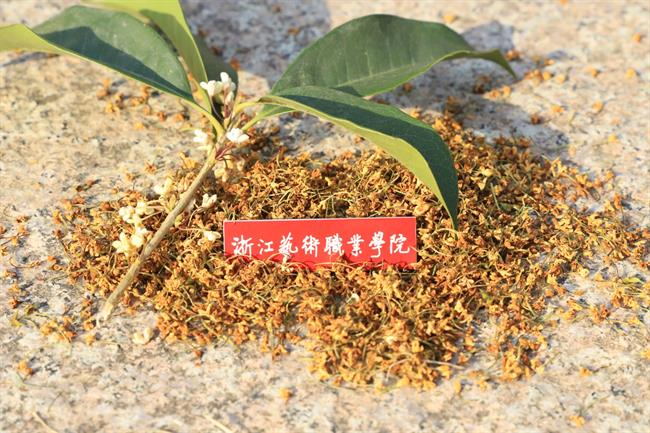 微信图片_20221105101156.jpg