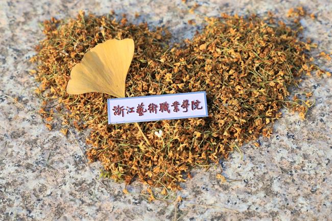 微信图片_20221105101204.jpg